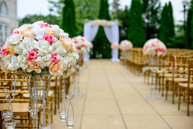 Stylish Wedding Guests
